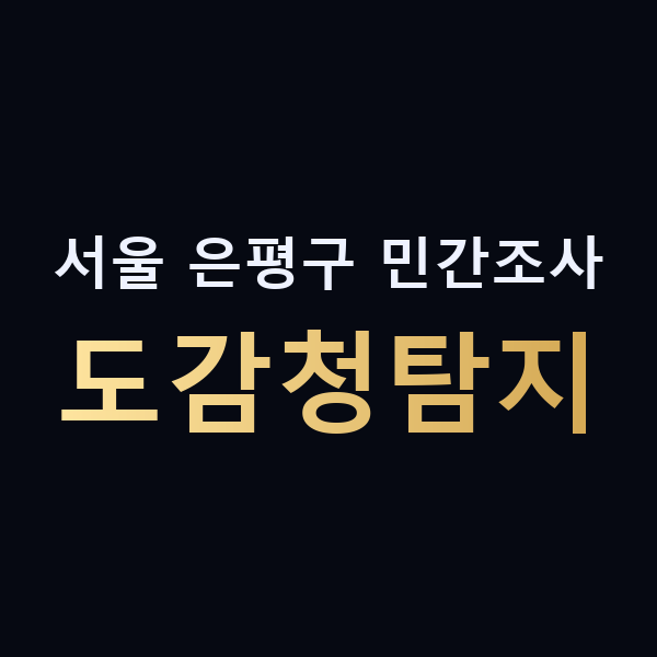 서울 은평구 민간조사 도감청탐지 맥가이버
