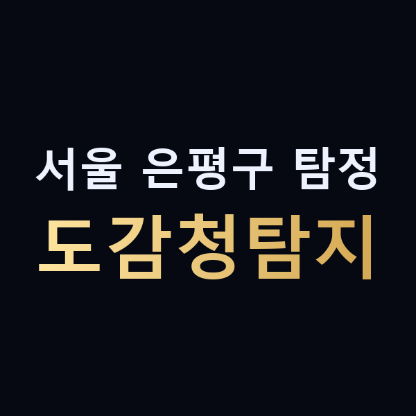 서울 은평구 탐정 도감청탐지 맥가이버