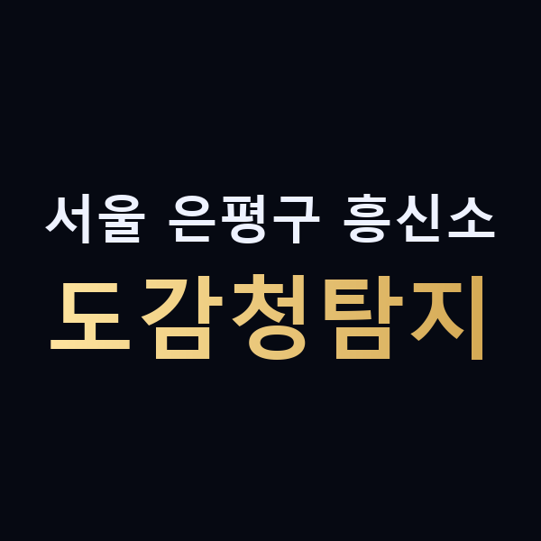 서울 은평구 흥신소 도감청탐지 맥가이버