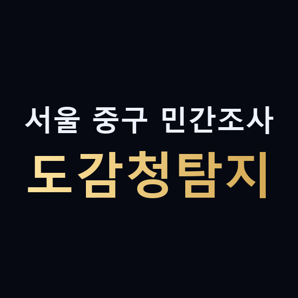 서울 중구 민간조사 도감청탐지 맥가이버