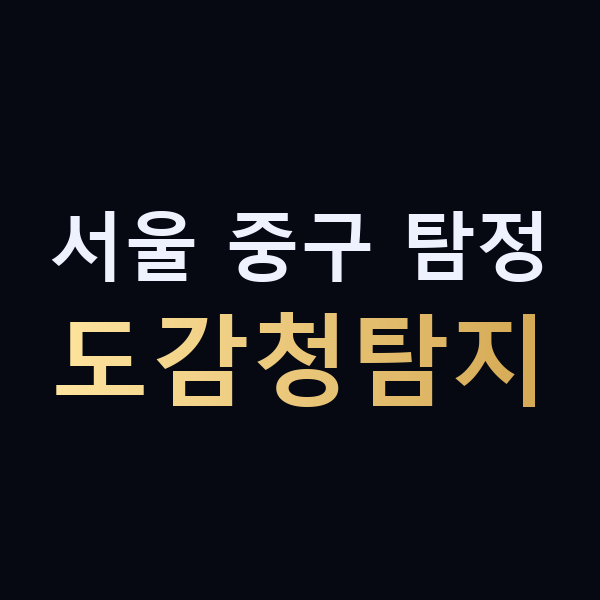 서울 중구 탐정 도감청탐지 맥가이버