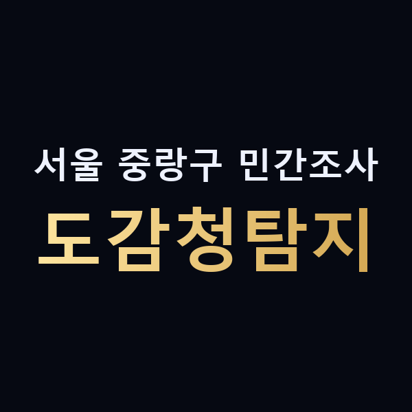 서울 중랑구 민간조사 도감청탐지 맥가이버