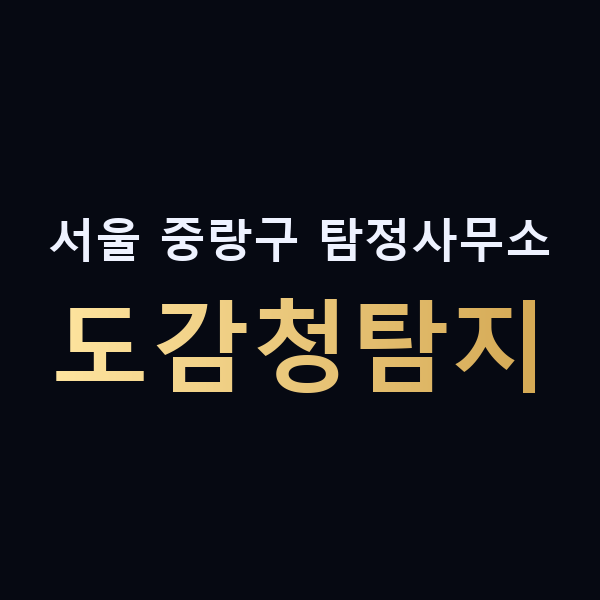 서울 중랑구 탐정사무소 도감청탐지 맥가이버