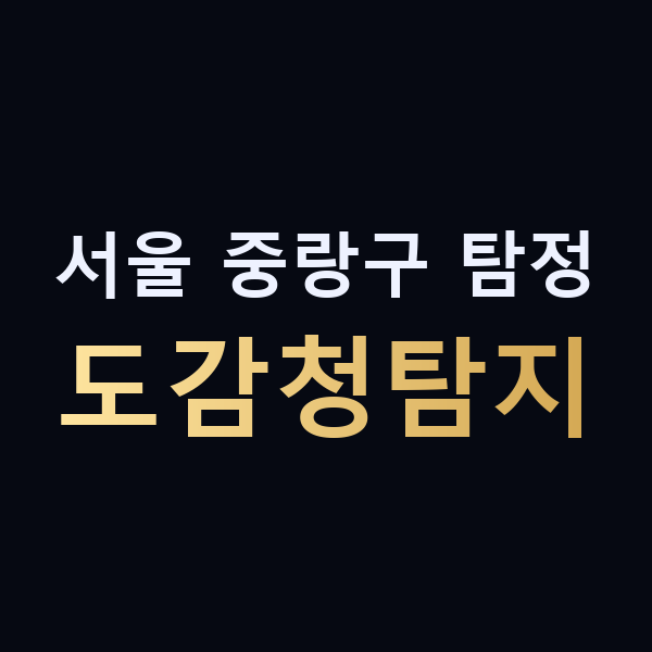 서울 중랑구 탐정 도감청탐지 맥가이버