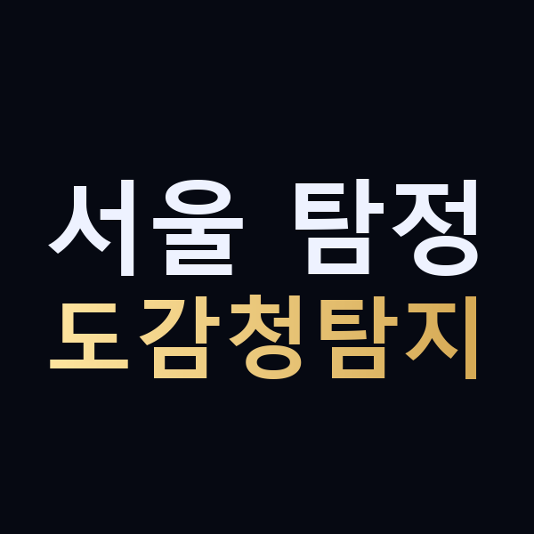 서울 탐정 도감청탐지 맥가이버