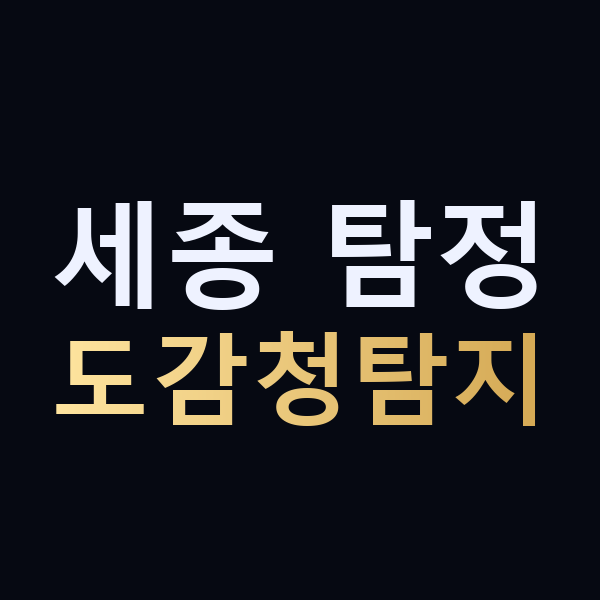 세종 탐정 도감청탐지 맥가이버
