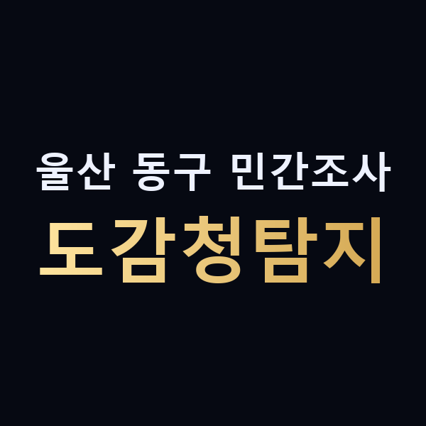 울산 동구 민간조사 도감청탐지 맥가이버