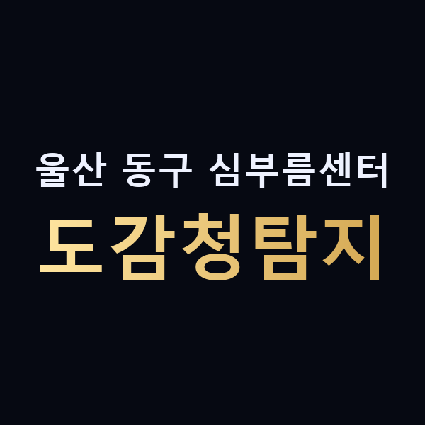 울산 동구 심부름센터 도감청탐지 맥가이버