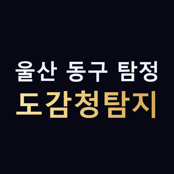 울산 동구 탐정 도감청탐지 맥가이버