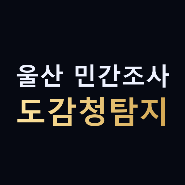 울산 민간조사 도감청탐지 맥가이버