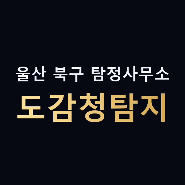 울산 북구 탐정사무소 도감청탐지 맥가이버