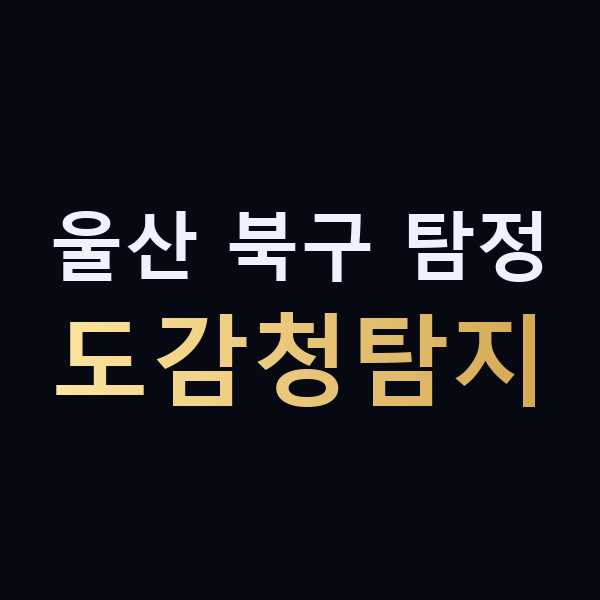 울산 북구 탐정 도감청탐지 맥가이버
