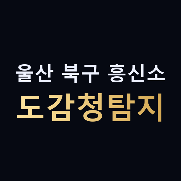 울산 북구 흥신소 도감청탐지 맥가이버