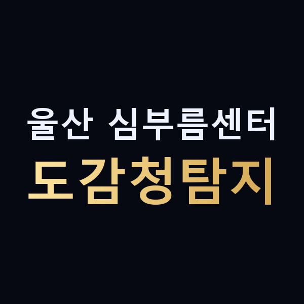 울산 심부름센터 도감청탐지 맥가이버