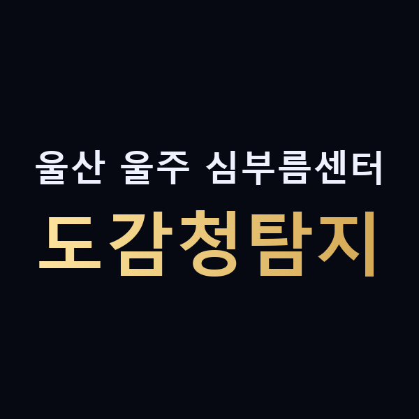 울산 울주 심부름센터 도감청탐지 맥가이버