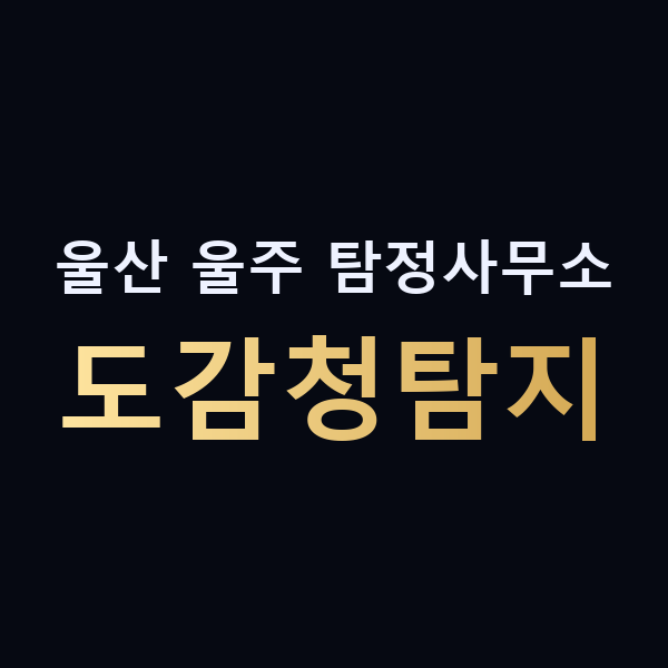 울산 울주 탐정사무소 도감청탐지 맥가이버