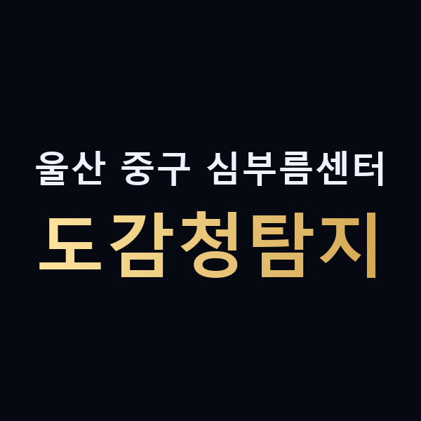 울산 중구 심부름센터 도감청탐지 맥가이버