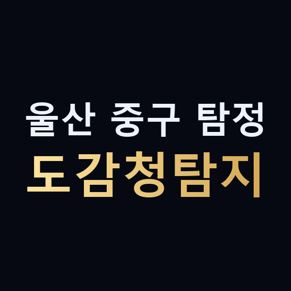 울산 중구 탐정 도감청탐지 맥가이버