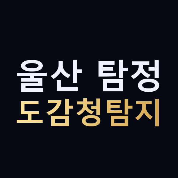 울산 탐정 도감청탐지 맥가이버
