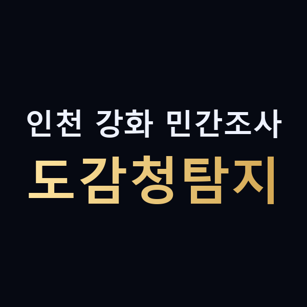 인천 강화 민간조사 도감청탐지 맥가이버
