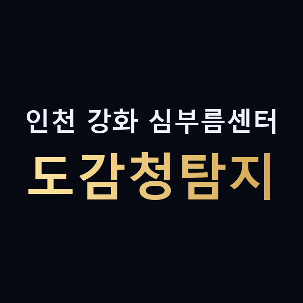 인천 강화 심부름센터 도감청탐지 맥가이버