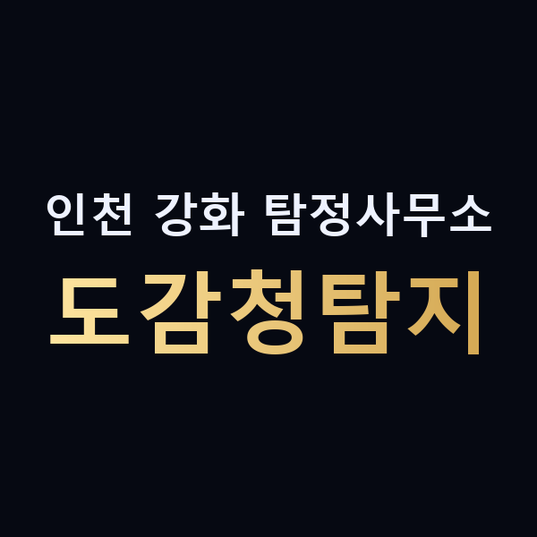 인천 강화 탐정사무소 도감청탐지 맥가이버