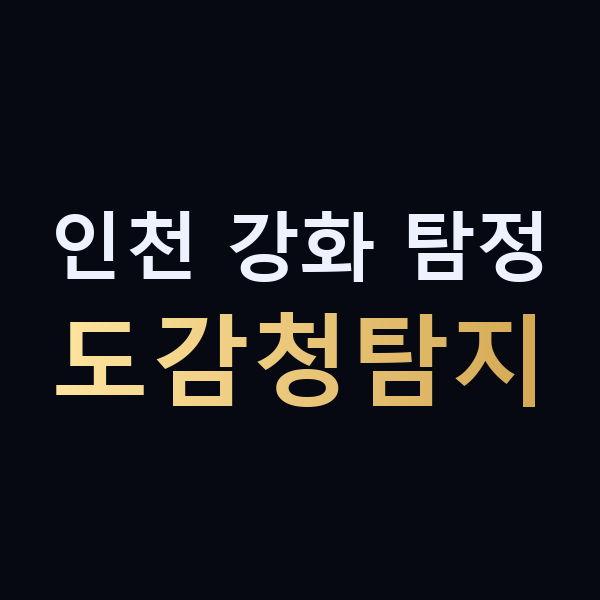 인천 강화 탐정 도감청탐지 맥가이버