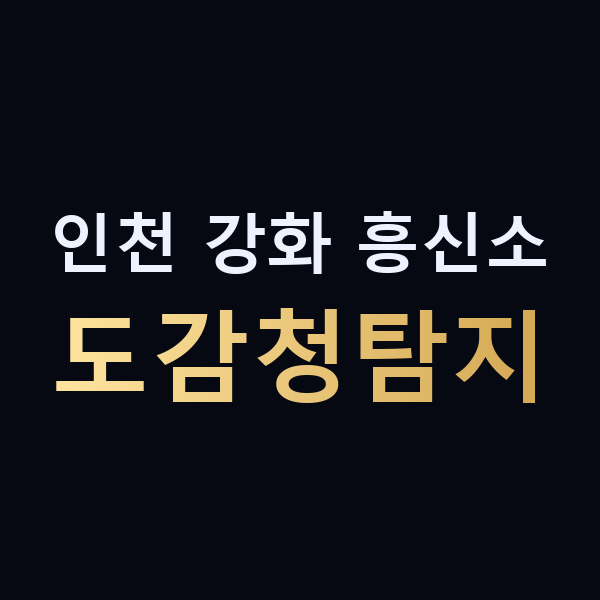 인천 강화 흥신소 도감청탐지 맥가이버