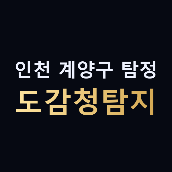 인천 계양구 탐정 도감청탐지 맥가이버