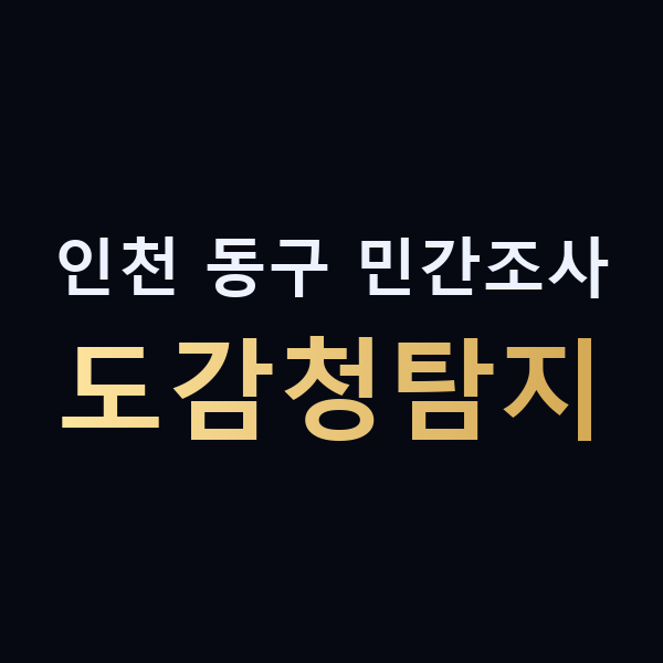 인천 동구 민간조사 도감청탐지 맥가이버