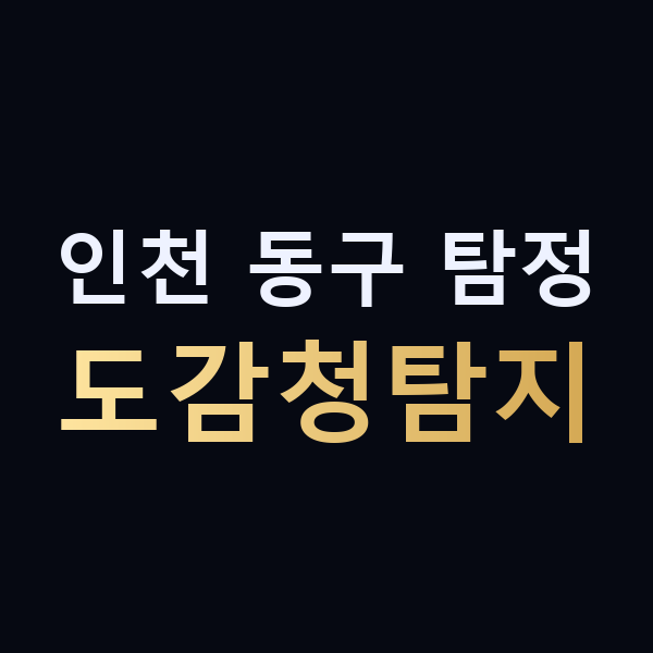 인천 동구 탐정 도감청탐지 맥가이버