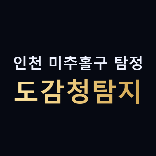 인천 미추홀구 탐정 도감청탐지 맥가이버