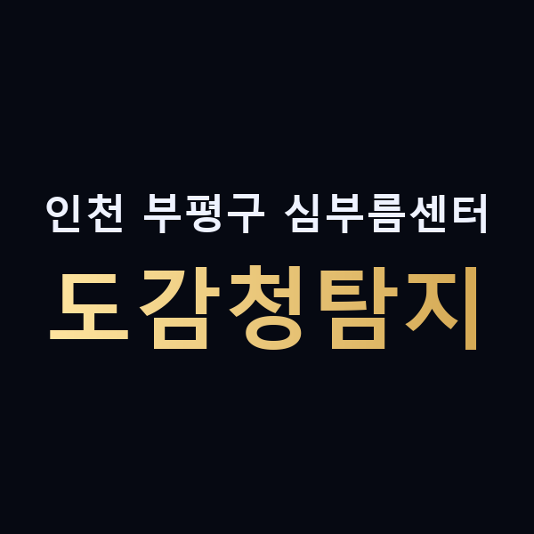 인천 부평구 심부름센터 도감청탐지 맥가이버