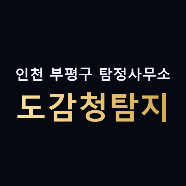 인천 부평구 탐정사무소 도감청탐지 맥가이버