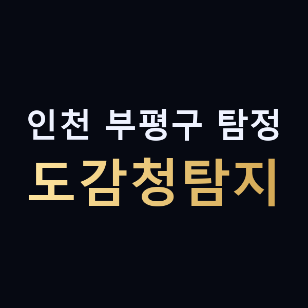 인천 부평구 탐정 도감청탐지 맥가이버