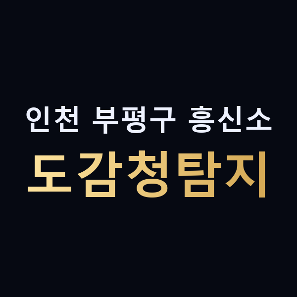 인천 부평구 흥신소 도감청탐지 맥가이버