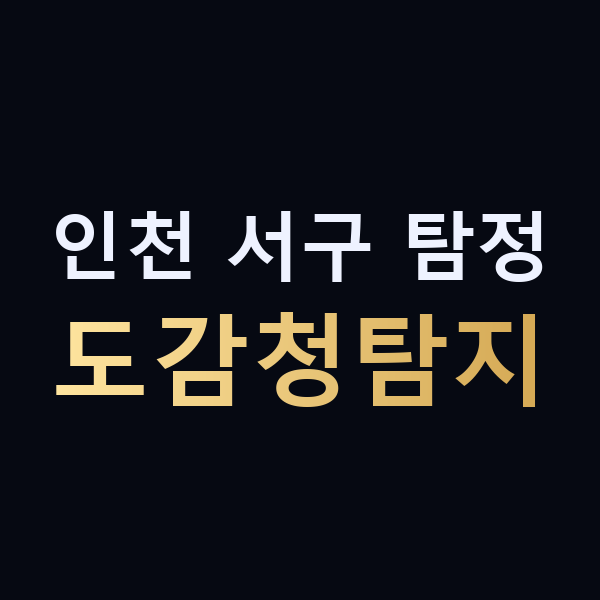 인천 서구 탐정 도감청탐지 맥가이버
