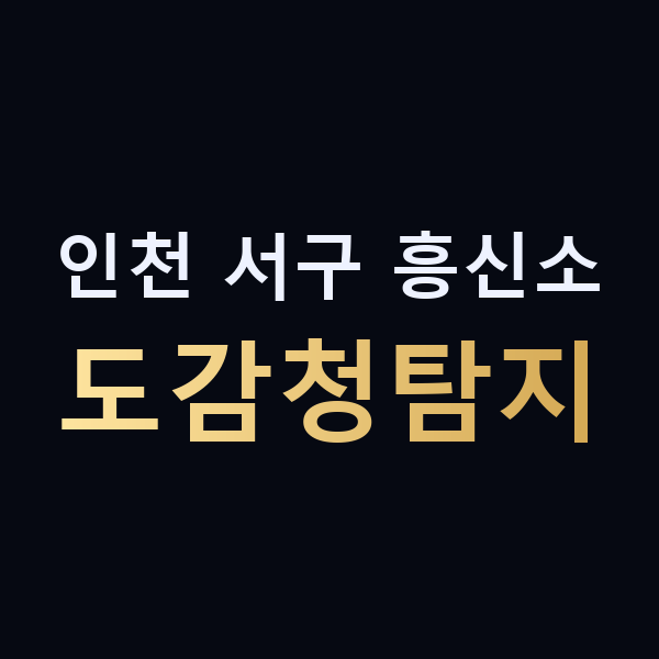 인천 서구 흥신소 도감청탐지 맥가이버