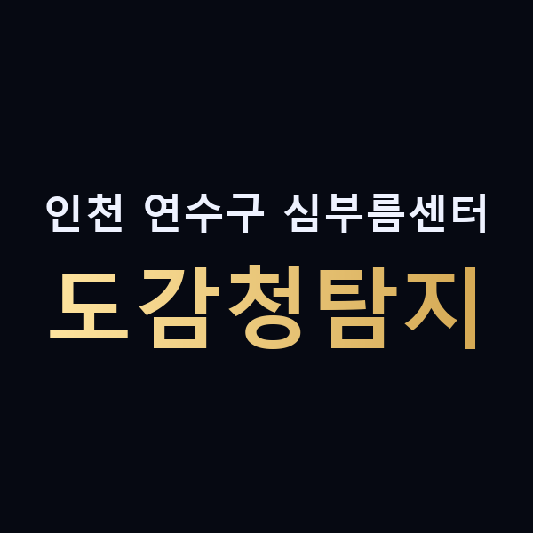 인천 연수구 심부름센터 도감청탐지 맥가이버
