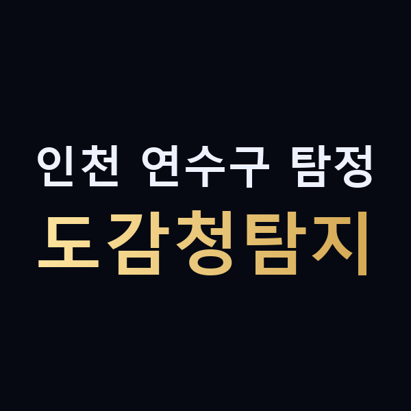 인천 연수구 탐정 도감청탐지 맥가이버