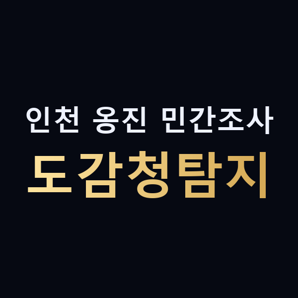 인천 옹진 민간조사 도감청탐지 맥가이버