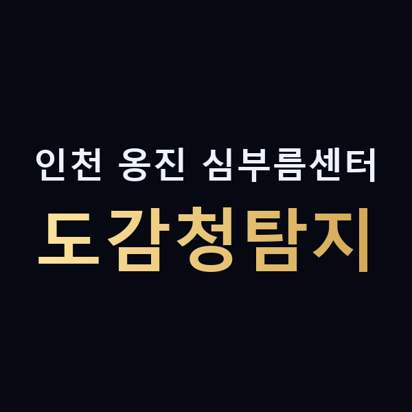 인천 옹진 심부름센터 도감청탐지 맥가이버