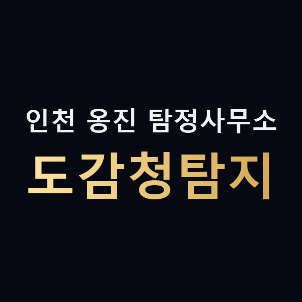 인천 옹진 탐정사무소 도감청탐지 맥가이버
