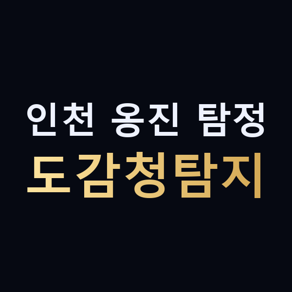 인천 옹진 탐정 도감청탐지 맥가이버