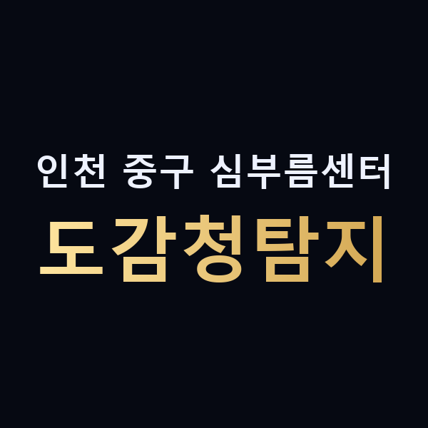 인천 중구 심부름센터 도감청탐지 맥가이버