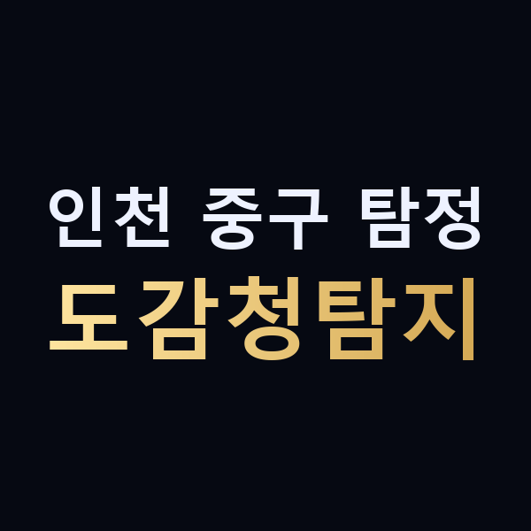 인천 중구 탐정 도감청탐지 맥가이버