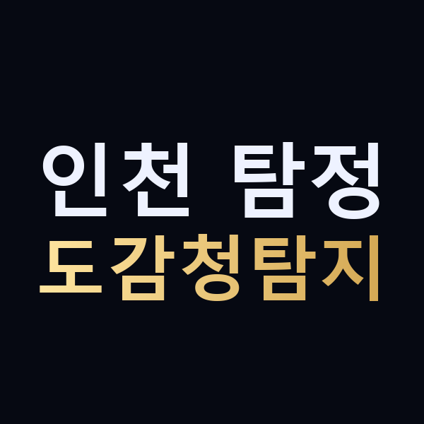 인천 탐정 도감청탐지 맥가이버