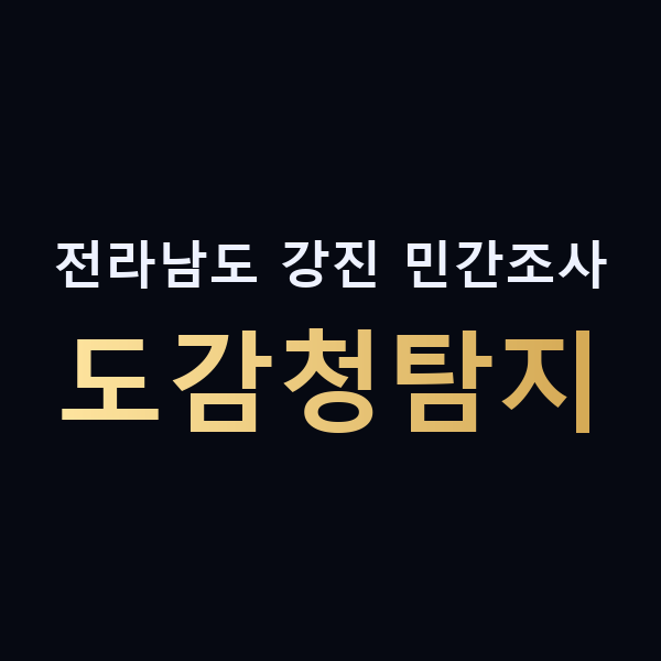 전라남도 강진 민간조사 도감청탐지 맥가이버