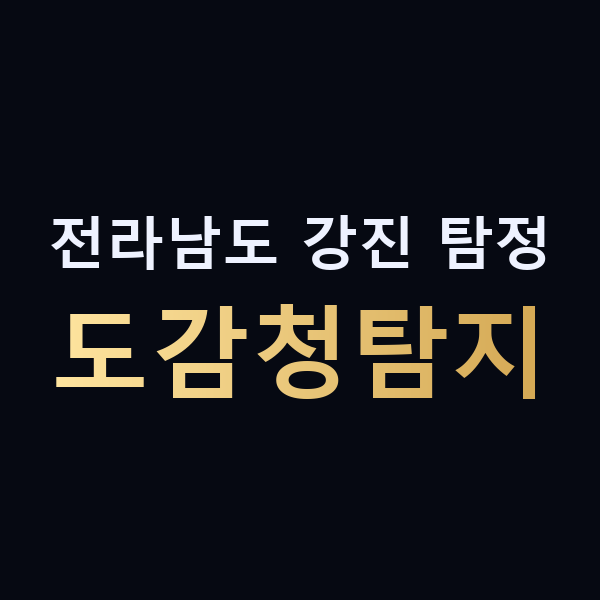 전라남도 강진 탐정 도감청탐지 맥가이버