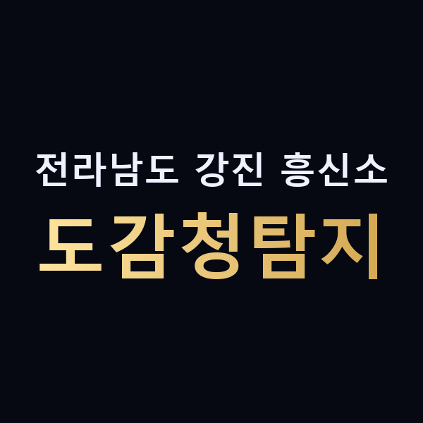 전라남도 강진 흥신소 도감청탐지 맥가이버
